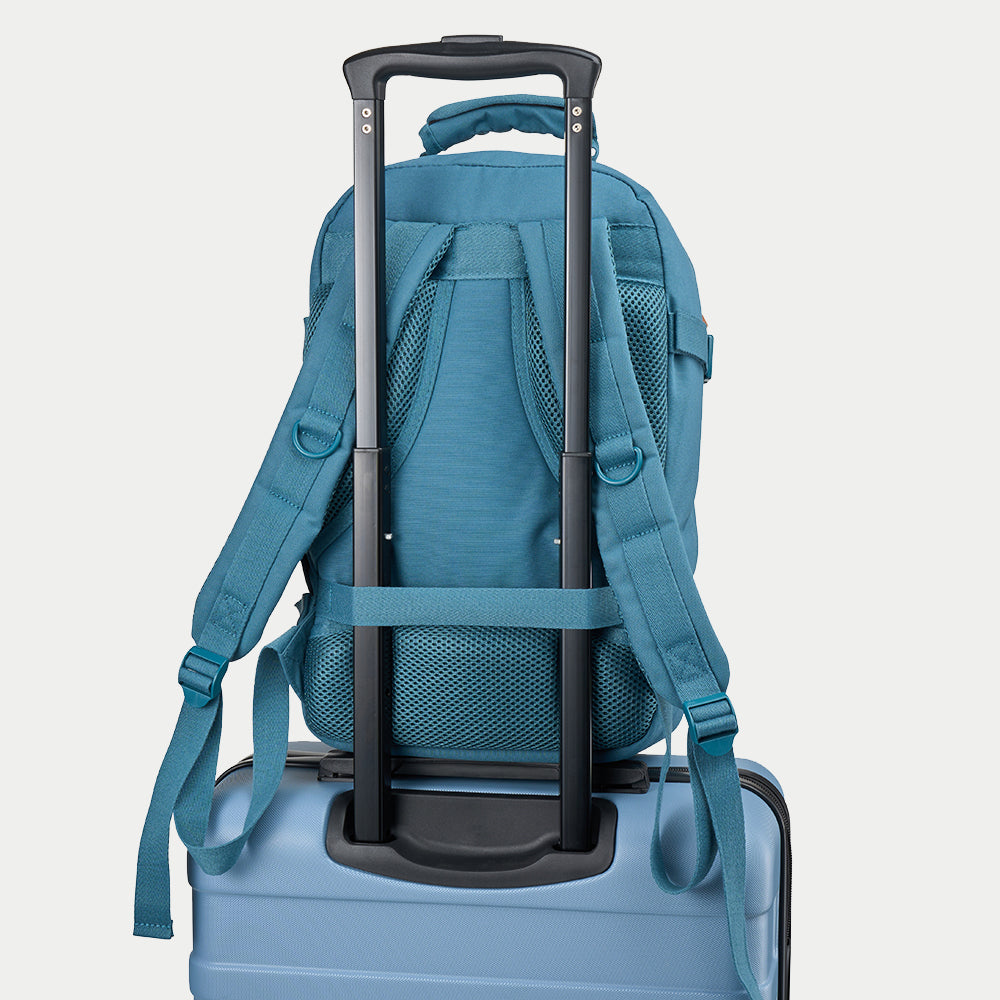 Metz_Vintage_Carousel_suitcase